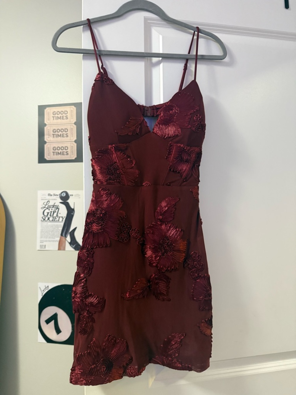 Windsor Wine Embroidered Floral Mini Dress
